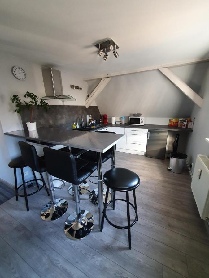 Chic & Cosy Apartment Haguenau Luaran gambar