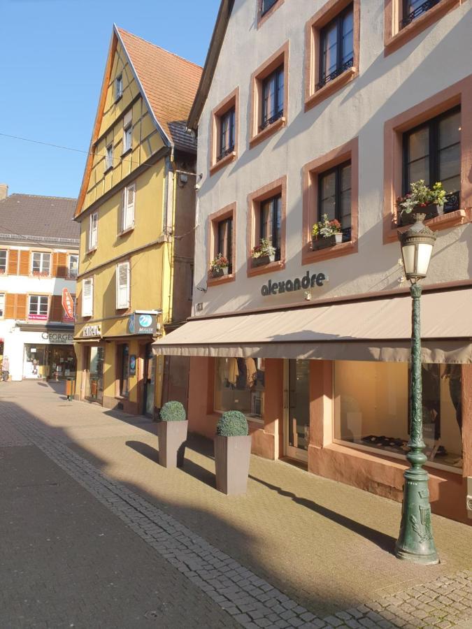 Chic & Cosy Apartment Haguenau Luaran gambar